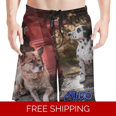 Le Studio Signals Dog Statue 2 Beach Shorts